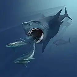 Megalodon bei der Verfolgung von zwei Walen der Gattung Eobalaenoptera von Karen Carr