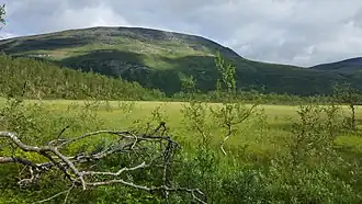 Blick vom südöstlichen Marschland auf den Sattel Richtung Norden