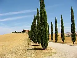 Val d’Orcia