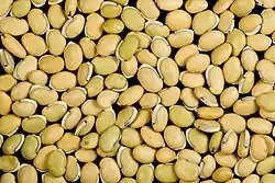 Helmbohne (auch junge Früchte)