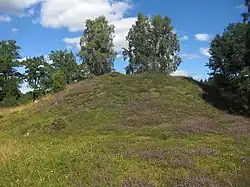 Grabhügel Stadskulle