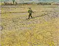 Vincent van Gogh: Der Sämann (1888)