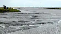 Watt und Möwen am Vareler Hafen mit Vogelbeobachtungsturm während der Vogelzugtage 2012[27]