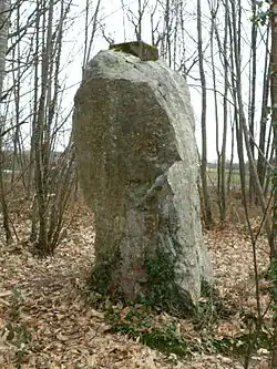 Menhir von La Drouetterie