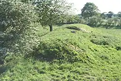 Der Langdysse 3 vom Ganggrab gesehen