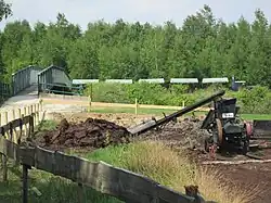 Feldbahn an der Haltestelle „Calluna“