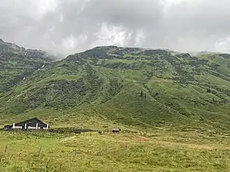Blick über die Veitbaueralm auf eine Ostschulter (ca. 2160 m) des Wasigen Kopfs