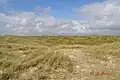 Übergang von Heide in Dünenlandschaft bei Vejers