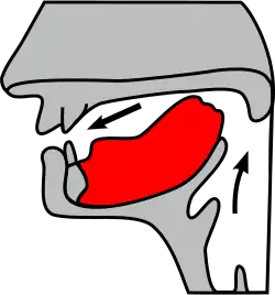 Artikulation eines Velars mit Annäherung