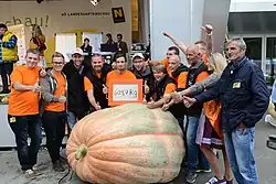 Österreichs größter Kürbis 2016 Franz Mathias 621 kg
