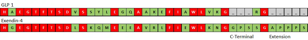 Farbiger Vergleich der Aminosäuresequenz von GLP 1 mit Exendin-4