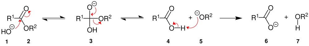 Verseifung Mechanismus