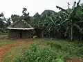 Farm in der Umgebung von Viñales.