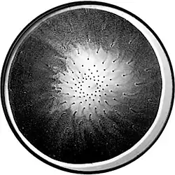 Chaos und Harmonie, 1991