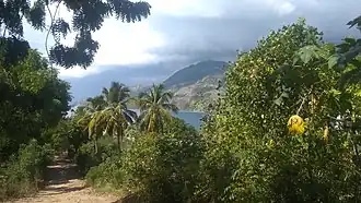 Blick auf die Bucht von Tiburon