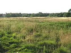 Das im Feld kaum erkennbare Henge von Arminghall