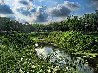 Beispielbild Bhawal-Nationalpark