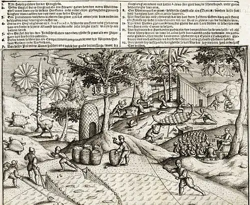 Zeichnung aus dem Jahr 1601 mit zwei Mauritius-Arten links