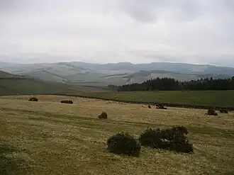 Blick auf die Südwestflanke der Moorfoot Hills