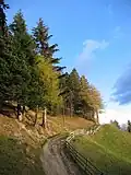 Wanderweg bei Schönwies im Frühling