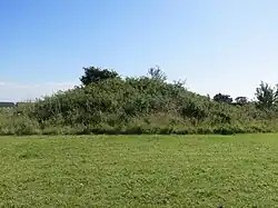 Vikhögarna von Löddeköpinge