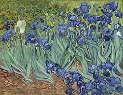 Vincent van Gogh: Iris