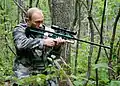 Angeblich rettete Putin mit einem Betäubungsgewehr Anwesende vor einem Tiger-Angriff[490]
