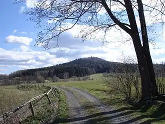 Vlčí hora von Norden, Blick von Panský