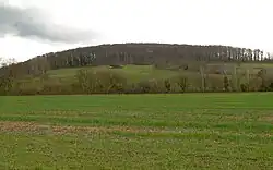 Erhebung des Vogelsberges mit der Wallanlage