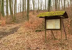 Infotafel, im Hintergrund der äußere Wall