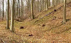 Der mächtige Außenwall im Südosten mit vorgelagertem Graben