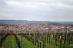 Rechter Alternativtext