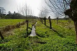 Blick auf die Gussau