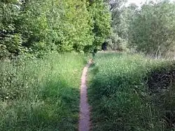 Volkspark Malchower See