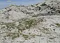 (Grund-?)Moränen im postglazialen Vorfeld des Schneelochgletschers nahe dem Abbruch zum „Totengräber“