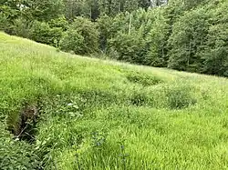 Vormwalder Bach – linker Zulauf zum Wiebach