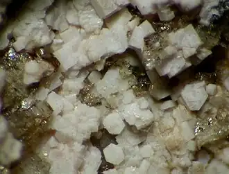 Vuoriyarvit-K, Kaskasnjutschorr