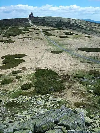 Vysoká pláň vom Veilchenstein aus gesehen