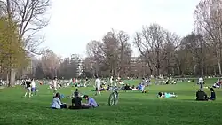 Wöhrder Wiese mit zahlreichen Menschen, die verschiedenen Aktivitäten im Park nachgehen