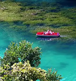 Starkes Wasserpflanzen-­wachstum im Sommer