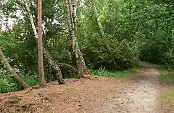 Der Rundweg um den See