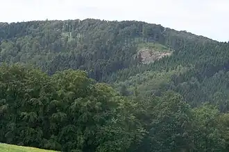 Ansicht von Osten (Mosbach, Elsterberg)