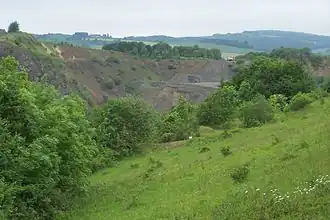Der Steinbruch am Höhn bei Klings
