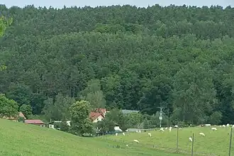 Blick über den Weiler Kratzeroda auf den Lutzberg