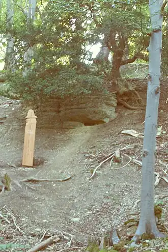 Blick vom Rastplatz zur Rhönpaulushöhle