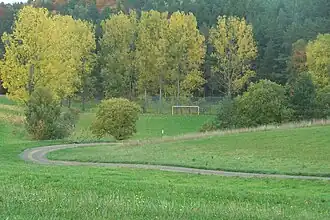 Am Sportplatz von Vitzeroda im Allmannsloch, dahinter ragt der Schälrück empor