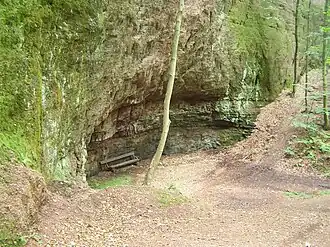 Hochwaldgrotte am Westhang vom Hirschstein