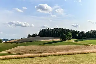 Wimmerhöhe gesehen von Norden