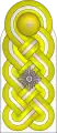Schulterstück (Luftwaffe)