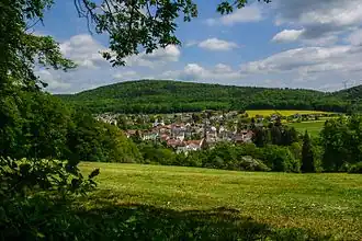 Der Stückelberg, davor Dombach